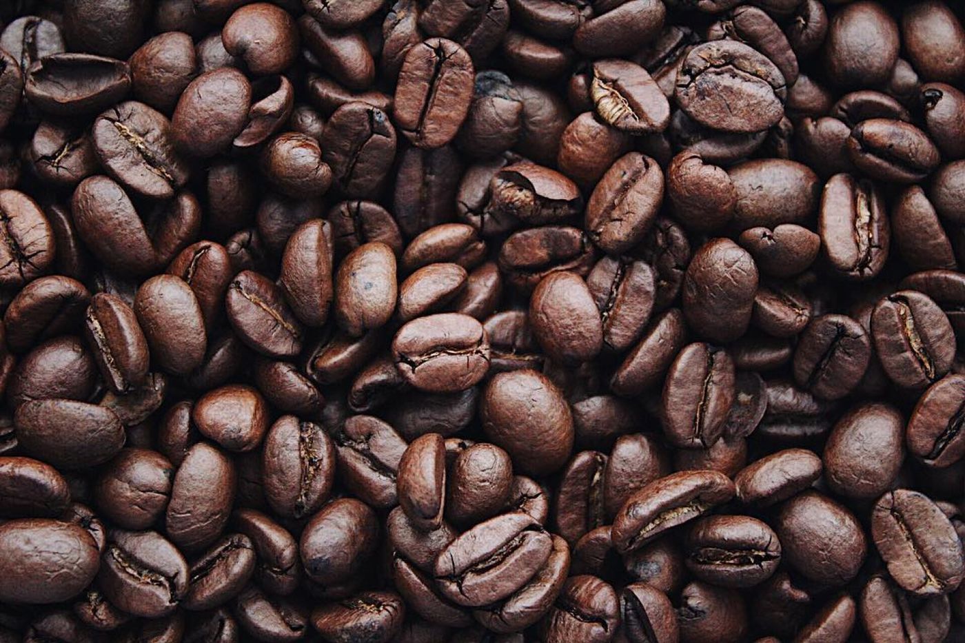 Artisan espresso drink prepared with Coffee Roasters Pro beans